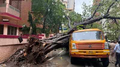 Officials said all 15 students were travelling in the Universal High School van Mumbai rains: Falling tree crushes school van in Chembur, 5 students hospitalised