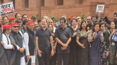 Opposition MPs stage protest against govt at Parliament in black clothes Parliament washout again; govt reaches out to opposition to end impasse