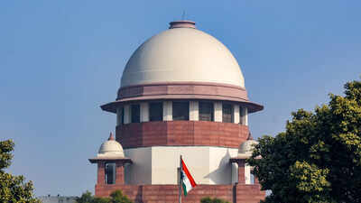 Supreme Court Petitioner hurls papers, 'orders' SC to file FIR