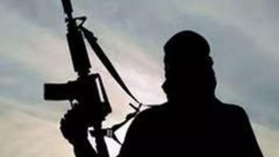 2 LeT terrorists arrested 2,500 detained, homes of 2 LeT terrorists razed in Kashmir after cop killing