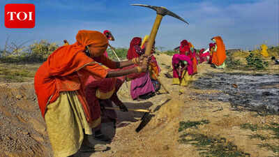 Representational image New rural employment scheme prioritises water security works