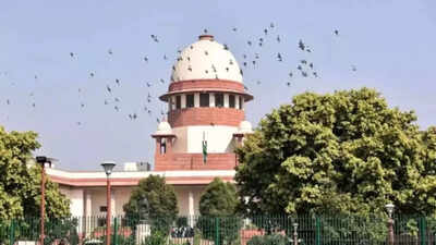 Supreme Court Frees Man After 22 Years In Jail, Overturns Wrong Conviction Supreme Court Frees Man After 22 Years In Jail, Overturns Wrong Conviction