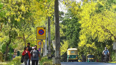 The Comptroller and Auditor General raised concerns about the inadequacies within the Green India Mission program, noting that the goal of increasing forest cover was far from realized over a decade. The audit pointed to significant issues in planning and financial oversight, which severely undermined the mission's objectives. Key vulnerable areas were neglected during afforestation, diminishing efforts to combat climate change. CAG finds 98% shortfall in Green India Mission forest cover targets, red-flags multiple lapses