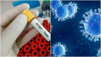 H1N1 Cases Rise In Delhi: Health Minister Nadda Holds Meet, Reviews Swine Flu Situation H1N1 Cases Rise In Delhi: Health Minister Nadda Holds Meet, Reviews Swine Flu Situation