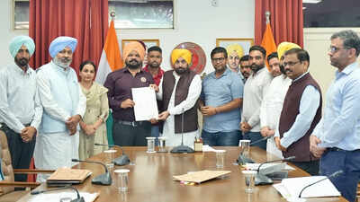 . Punjab CM Mann approves hike in salaries of Adarsh schools' teachers
