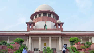 Supreme Court of India (Photo: PTI) SC to hear plea seeking mandatory disclosure of ethanol content in petrol on Aug 31