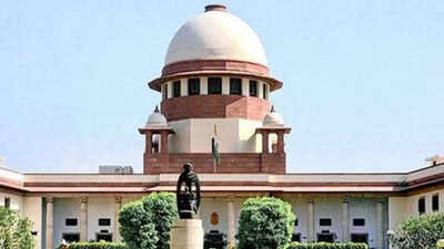 Wife not entitled to interim maintenance if adultery allegation is prima facie true: SC
