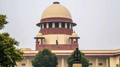 The petitioner was arrested on Sept 22, 2022, for allegedly radicalising youth and being involved in violent activities ‘Absurd timelines’: Supreme Court says only 12-15 cases for each UAPA court