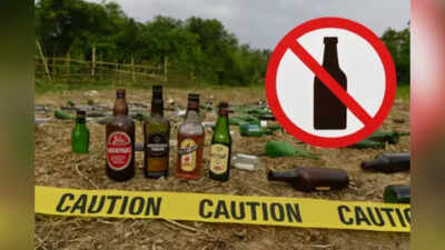Representative image Bihar should withdraw alcohol ban as it failed to curb crimes against women: Report