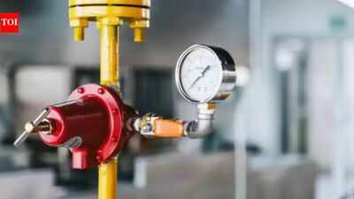 In the last five months, a little over 1.4 lakh households surrendered their LPG connections. Only 20% LPG consumers applied for PNG connections