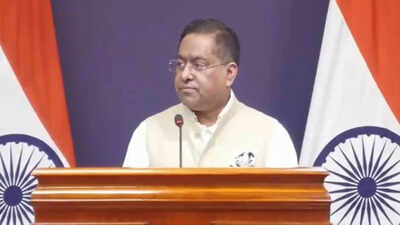 'Politically motivated, highly malicious': India denounces UN racial discrimination committee remarks UN panel report on minorities is politically motivated: Govt