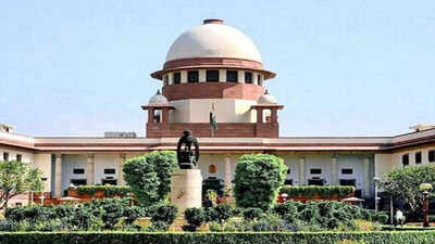 Supreme Court of India ‘Criminal cases can’t have lifespan of turtle’: Supreme Court on activist’s trial delay