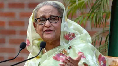 The Bangladesh foreign ministry had said this interaction by a “convicted mass murderer” on the Indian soil stood as an affront to the sovereignty of the country No government role, don’t endorse Hasina’s remarks at private media event: MEA