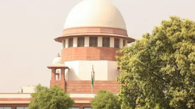 The order stands in stark contrast to the lengthy judgement by a bench of Justices J B Pardiwala and Ujjal Bhuyan on July 21 Poverty, inequality seed delinquency in minors: SC