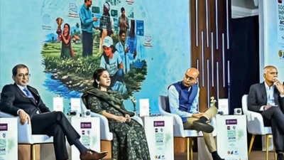 Technology will not deepen India’s education divide TOI Social Impact Summit: 'Tech could bridge edu divide if personalised, won’t replace teachers'