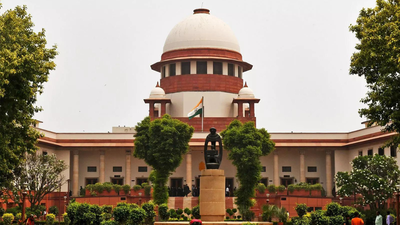 Pay Rs 15L to 'outstanding' officer shunted out as 'deadwood': Supreme Court