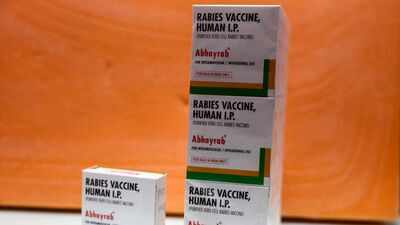 A government laboratory has flagged rabies vaccine vials discovered at an unauthorized site as substandard and misbranded (Reuters) Abhayrab vials found in Delhi flagged as substandard