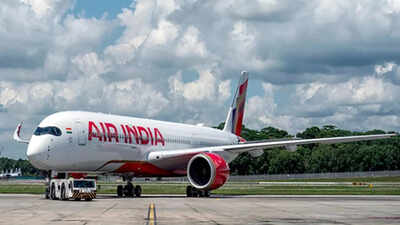 Air India Air India pilot dies during Delhi layover