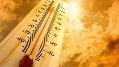 Global climate record: August this year joint-warmest month with July '23
