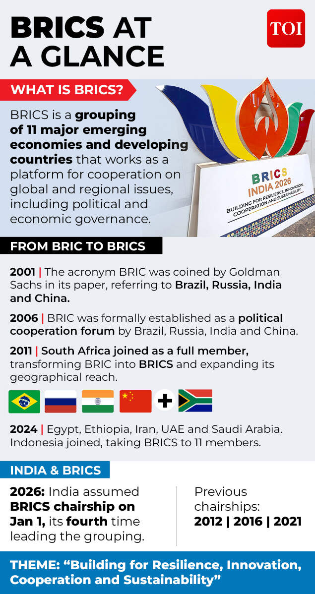 BRICS AT A GLANCE