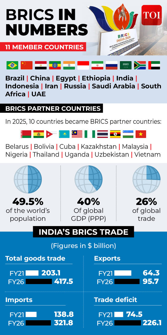 Brics in numbers