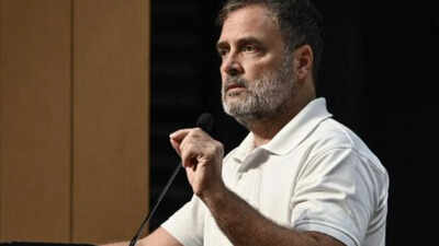 Leader of the opposition in Lok Sabha Rahul Gandhi TN minister reiterates Rahul Gandhi for PM pitch; rules out Vijay as contender